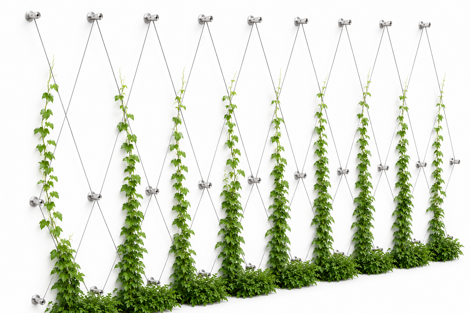 Mur végétalisé avec système de câbles inox Concept System